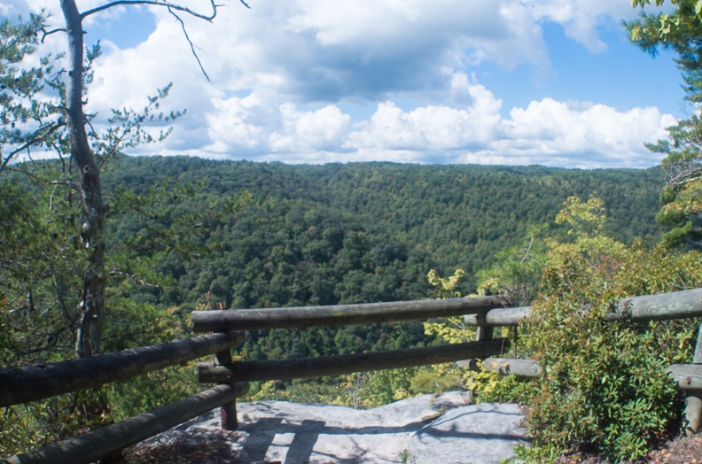 Trail overlook.jpg